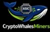 Crypto Whales Miners
